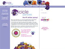 Tablet Screenshot of iciclepansy.com
